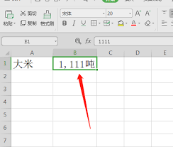 怎样在Excel中运用自定义格式