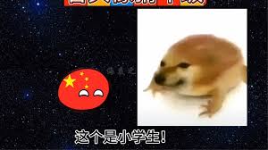 他ta星球如何发布动态