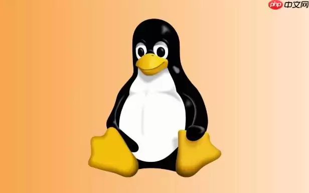 Linux怎么监控系统流量使用情况 Linux网络抓包工具使用详解