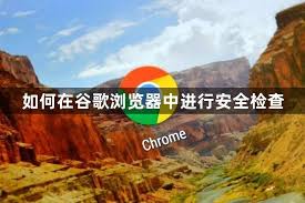 谷歌浏览器如何进行安全检查