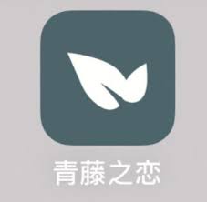 青藤之恋找对象概率怎么样