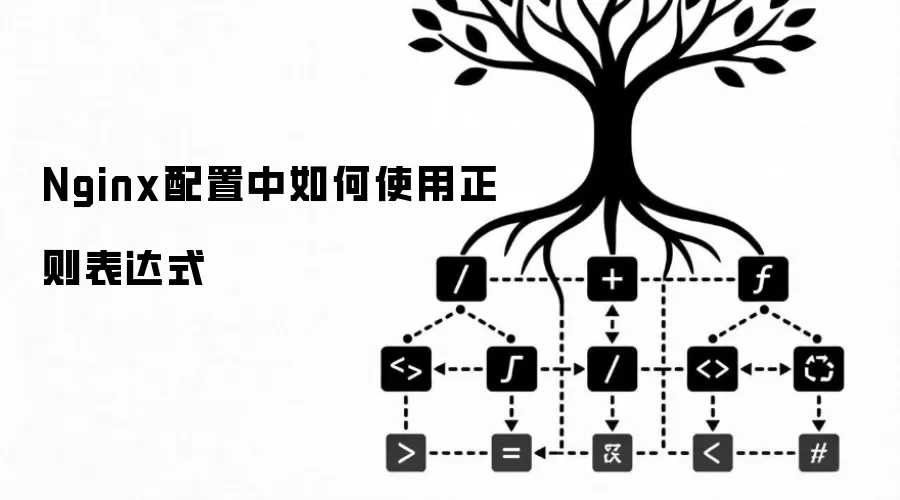 Nginx配置中如何使用正则表达式