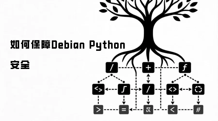 如何保障Debian Python安全
