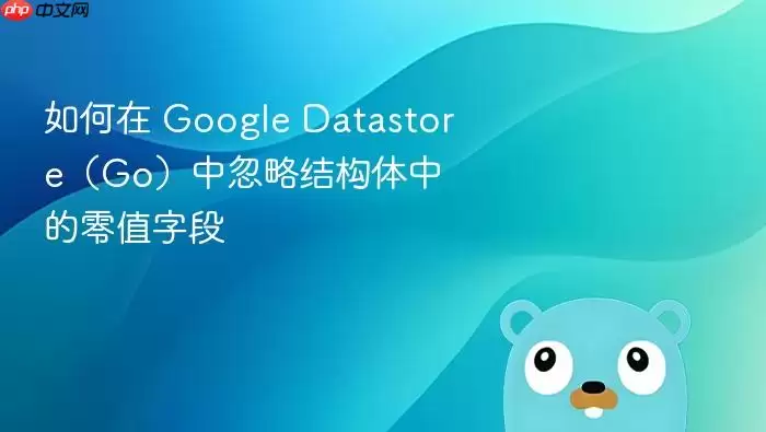 如何在 Google Datastore（Go）中忽略结构体中的零值字段