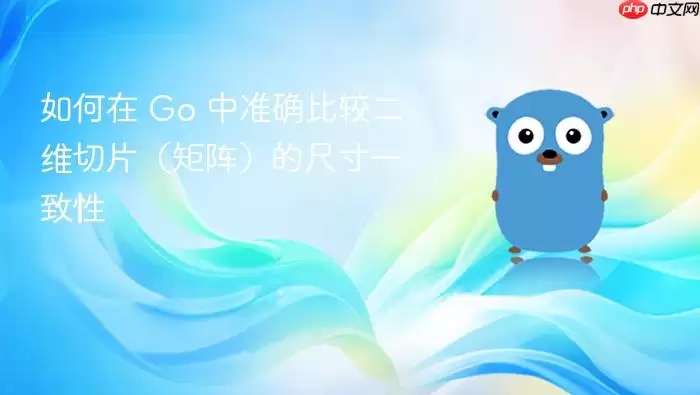 如何在 Go 中准确比较二维切片(矩阵)的尺寸一致性