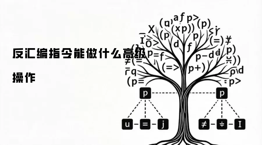反汇编指令能做什么高级操作