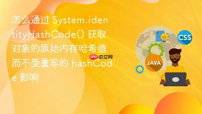 怎么通过 System.identityHashCode() 获取对象的原始内存哈希值而不受重写的 hashCode 影响
