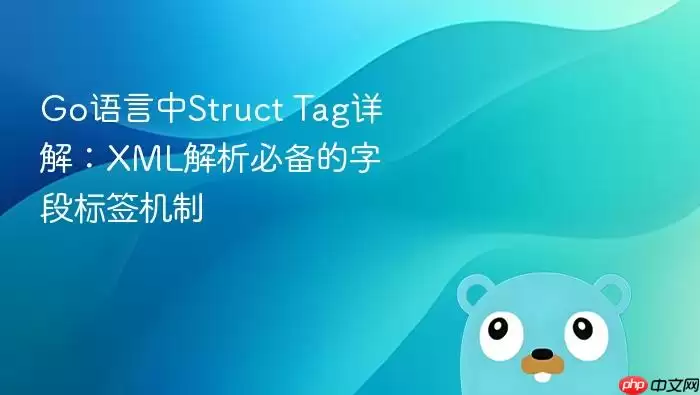 Go语言中Struct Tag详解:XML解析必备的字段标签机制