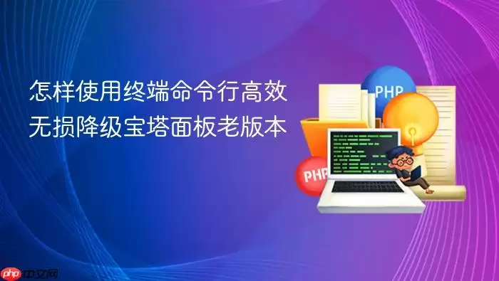 怎样使用终端命令行高效无损降级宝塔面板老版本