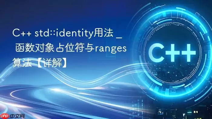 C++ std::identity用法 _ 函数对象占位符与ranges算法【详解】