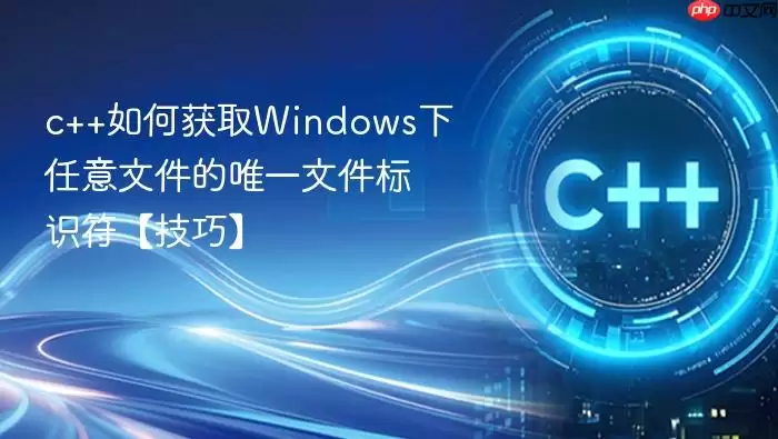 c++如何获取Windows下任意文件的唯一文件标识符【技巧】