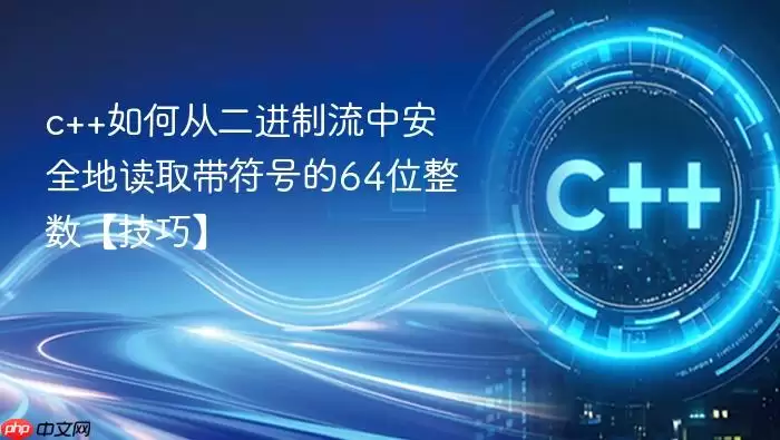 c++如何从二进制流中安全地读取带符号的64位整数【技巧】
