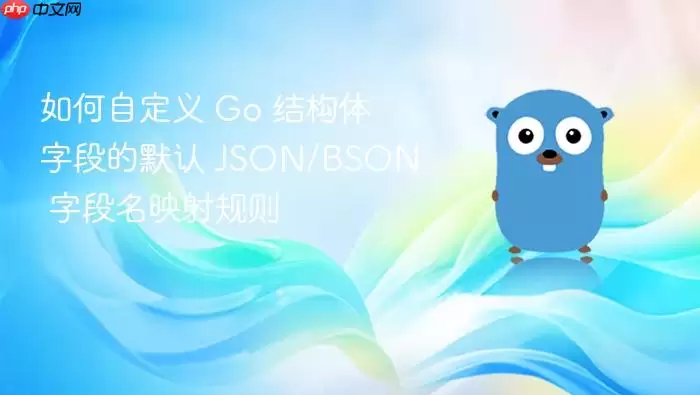 如何自定义 Go 结构体字段的默认 JSON/BSON 字段名映射规则