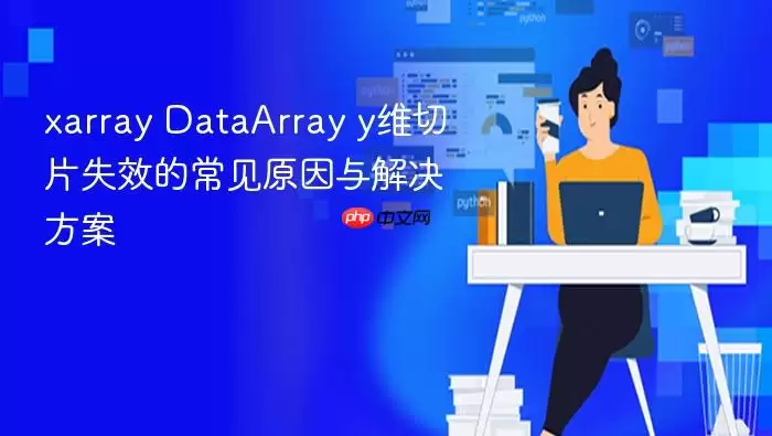 xarray DataArray y维切片失效的常见原因与解决方案