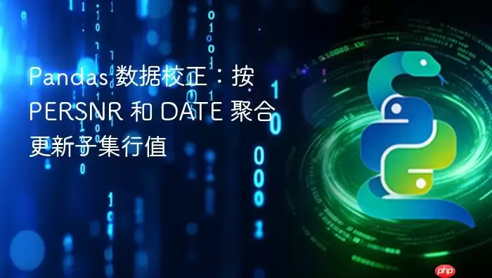 Pandas 数据校正:按 PERSNR 和 DATE 聚合更新子集行值