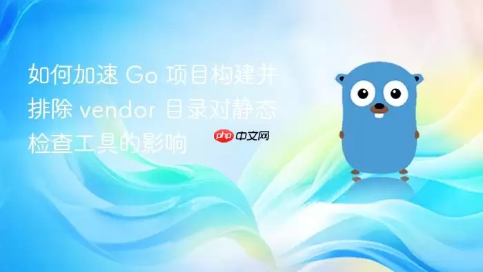 如何加速 Go 项目构建并排除 vendor 目录对静态检查工具的影响