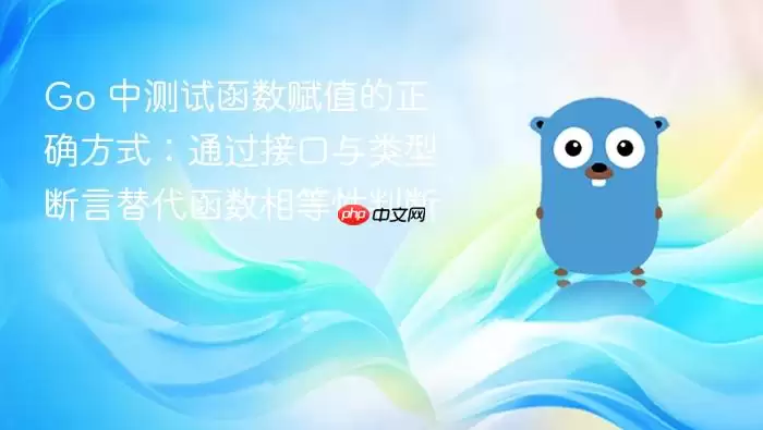 Go 中测试函数赋值的正确方式:通过接口与类型断言替代函数相等性判断