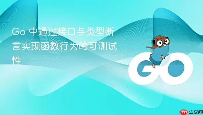Go 中通过接口与类型断言实现函数行为的可测试性