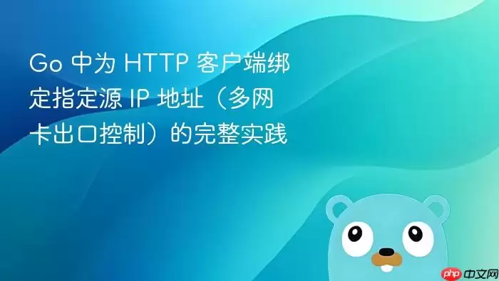 Go 中为 HTTP 客户端绑定指定源 IP 地址(多网卡出口控制)的完整实践
