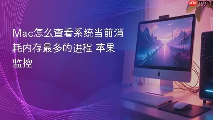 Mac怎么查看系统当前消耗内存最多的进程 苹果监控