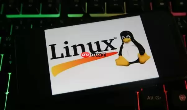 Linux怎么查看网络接口的丢包统计 Linux下ip -s link详解