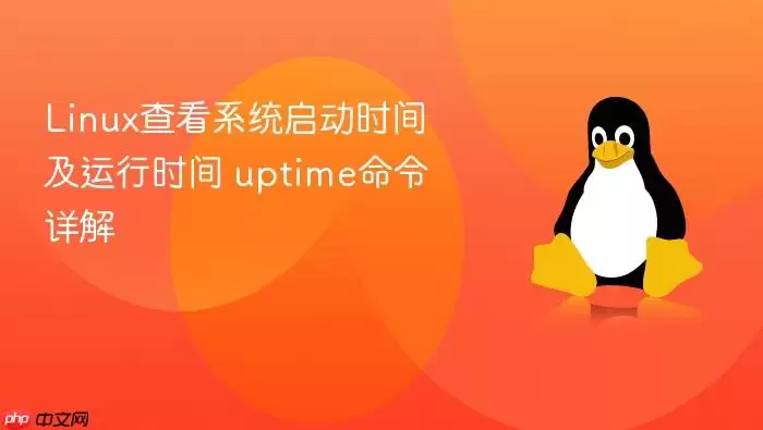 Linux查看系统启动时间及运行时间 uptime命令详解