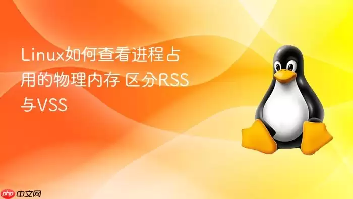 Linux如何查看进程占用的物理内存 区分RSS与VSS