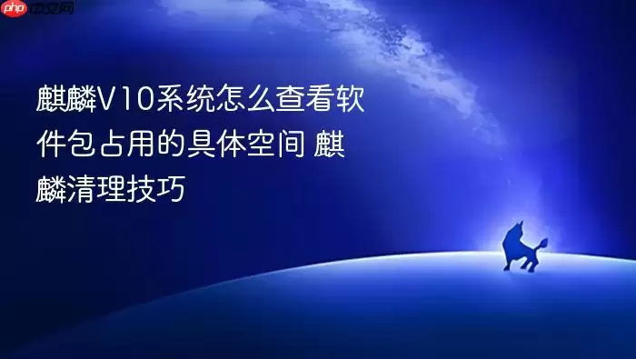 麒麟V10系统怎么查看软件包占用的具体空间 麒麟清理技巧