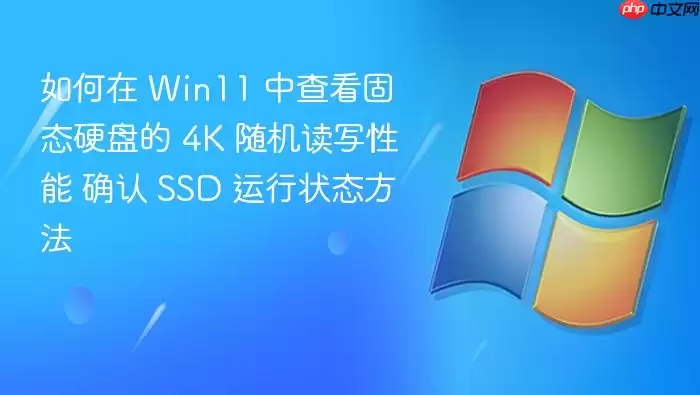 如何在 Win11 中查看固态硬盘的 4K 随机读写性能 确认 SSD 运行状态方法