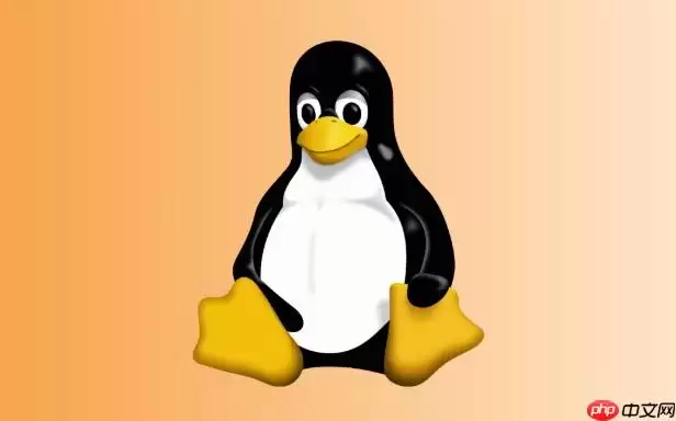 Linux怎么查看磁盘分区的物理偏移量 Linux下磁盘对齐检测详解