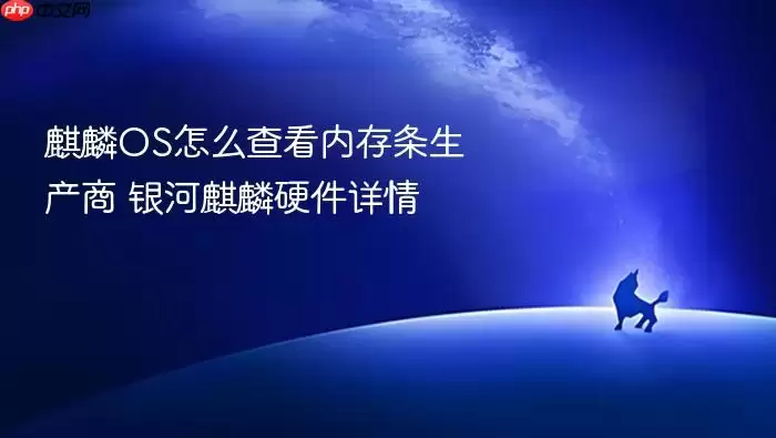 麒麟OS怎么查看内存条生产商 银河麒麟硬件详情