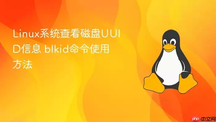 Linux系统查看磁盘UUID信息 blkid命令使用方法