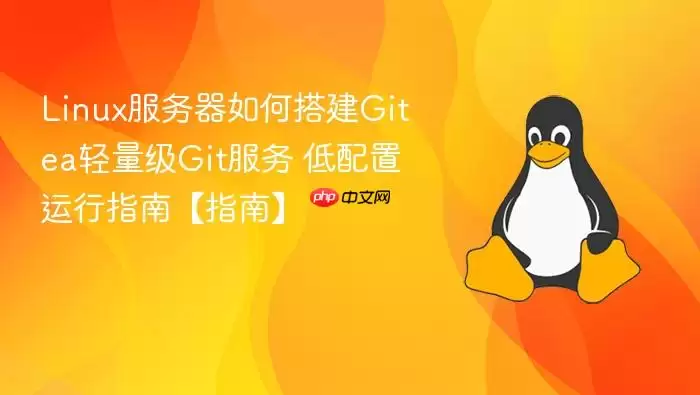 Linux服务器如何搭建Gitea轻量级Git服务 低配置运行指南【指南】