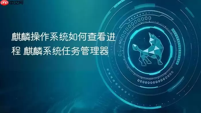 麒麟操作系统如何查看进程 麒麟系统任务管理器