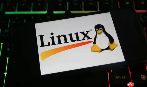 Linux怎么查看USB设备信息 Linux下lsusb指令应用详解