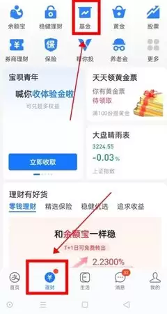 支付宝基金估值取消后在哪看
