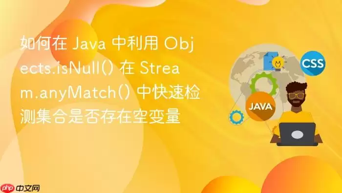 如何在 Ja va 中利用 Objects.isNull() 在 Stream.anyMatch() 中快速检测集合是否存在空变量