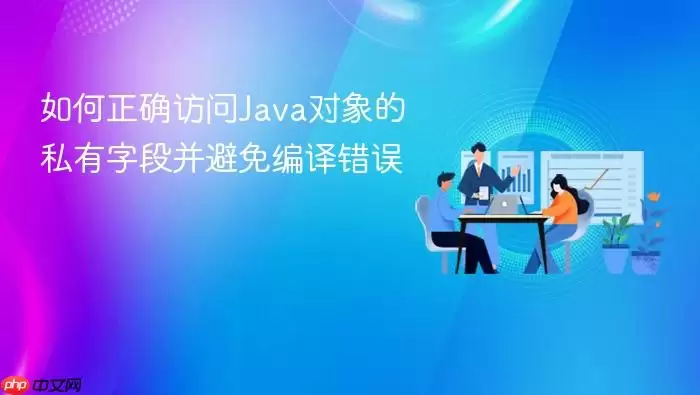 如何正确访问Java对象的私有字段并避免编译错误