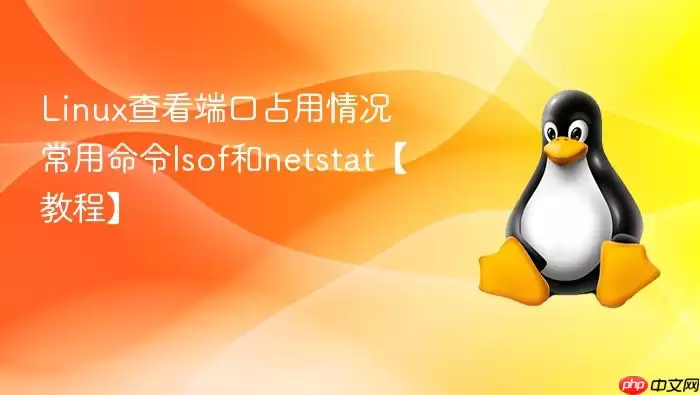 Linux查看端口占用情况 常用命令lsof和netstat【教程】