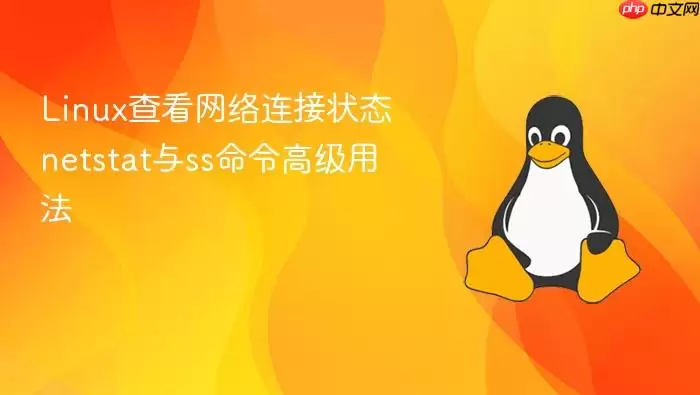 Linux查看网络连接状态 netstat与ss命令高级用法