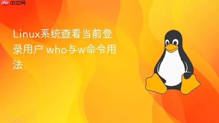 Linux系统查看当前登录用户 who与w命令用法