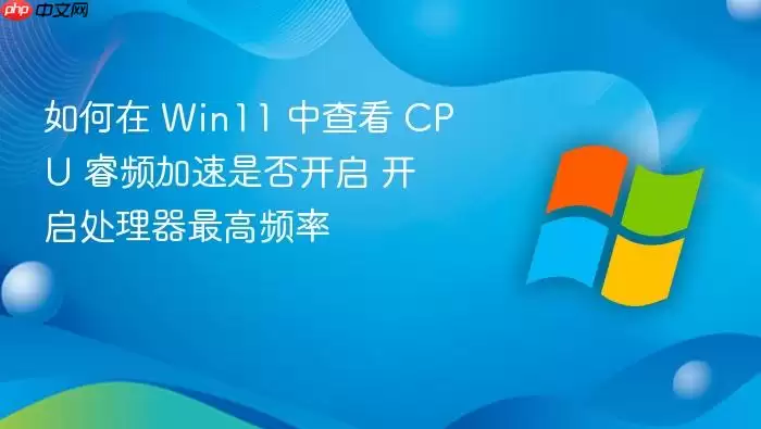 如何在 Win11 中查看 CPU 睿频加速是否开启 开启处理器最高频率