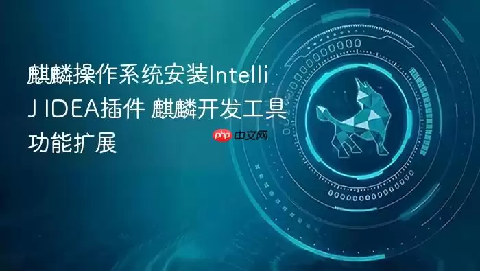 麒麟操作系统安装intellij idea插件 麒麟开发工具功能扩展
