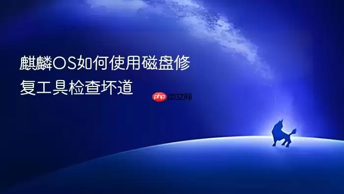 麒麟OS如何使用磁盘修复工具检查坏道