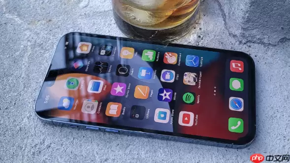 苹果手机怎么查询通话记录_苹果电话APP查看通话记录