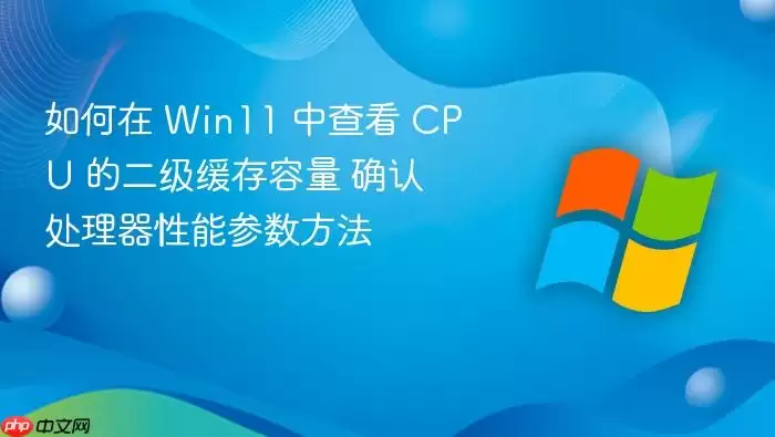 如何在 Win11 中查看 CPU 的二级缓存容量 确认处理器性能参数方法