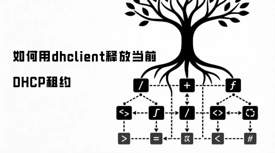 如何用dhclient释放当前DHCP租约