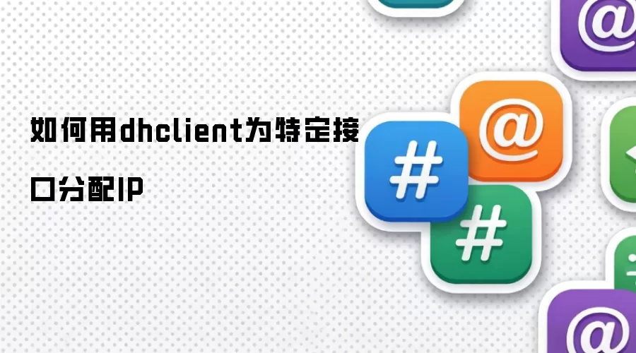 如何用dhclient为特定接口分配IP