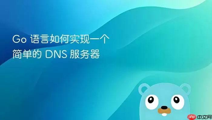 Go 语言如何实现一个简单的 DNS 服务器