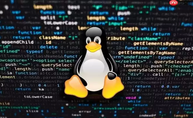 Linux怎么查看系统版本信息 Linux内核版本与发行版查询详解